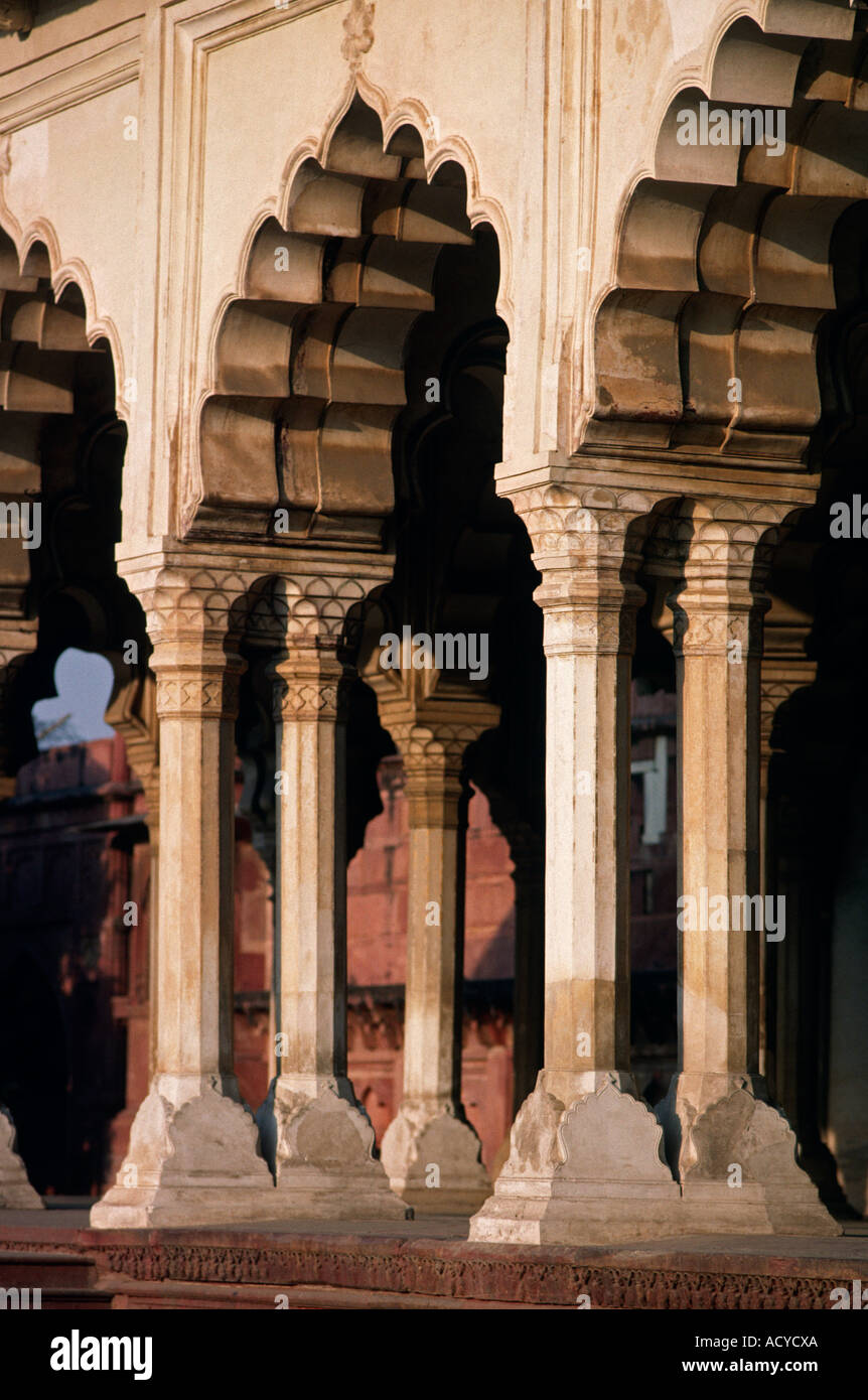 Detail of ISLAMIC ARCHES at AGRA FORT built by the Mughal emperors in