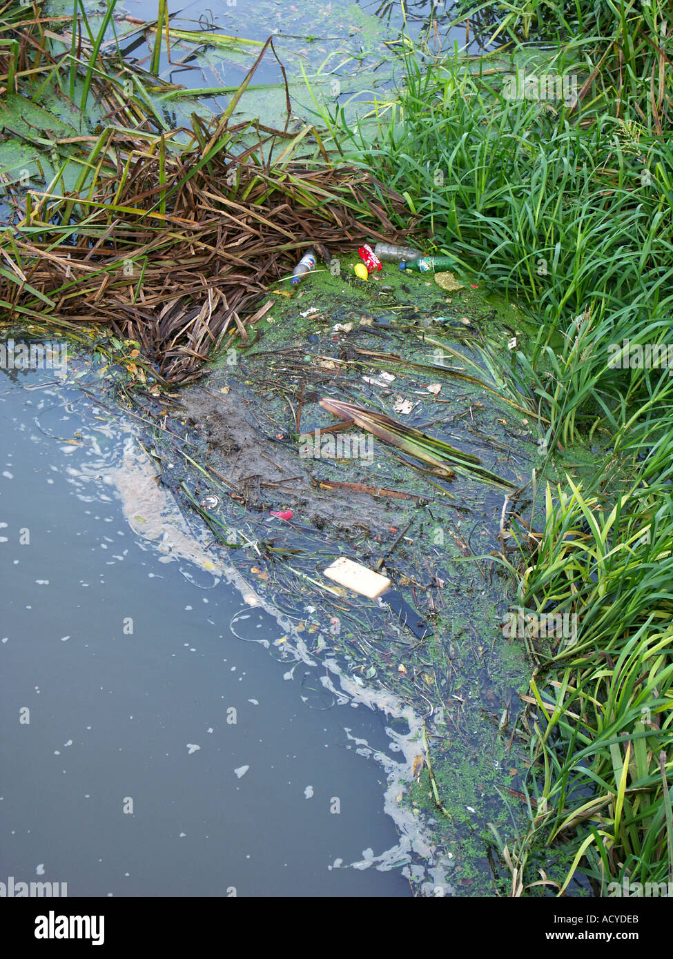 Rubbish in river hi-res stock photography and images - Alamy