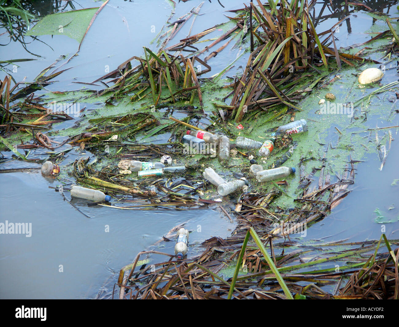 Rubbish in river hi-res stock photography and images - Alamy