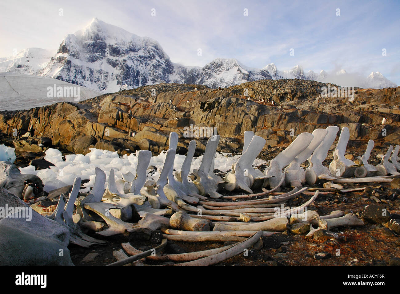 Beautiful landscape in the Antarctic peninsula Antarctica Stock Photo
