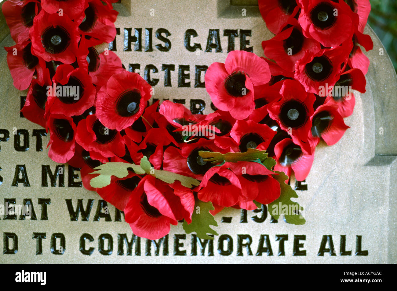 Cheshire Pott Shrigley remembrance day wreath of poppies in church lych gate Stock Photo