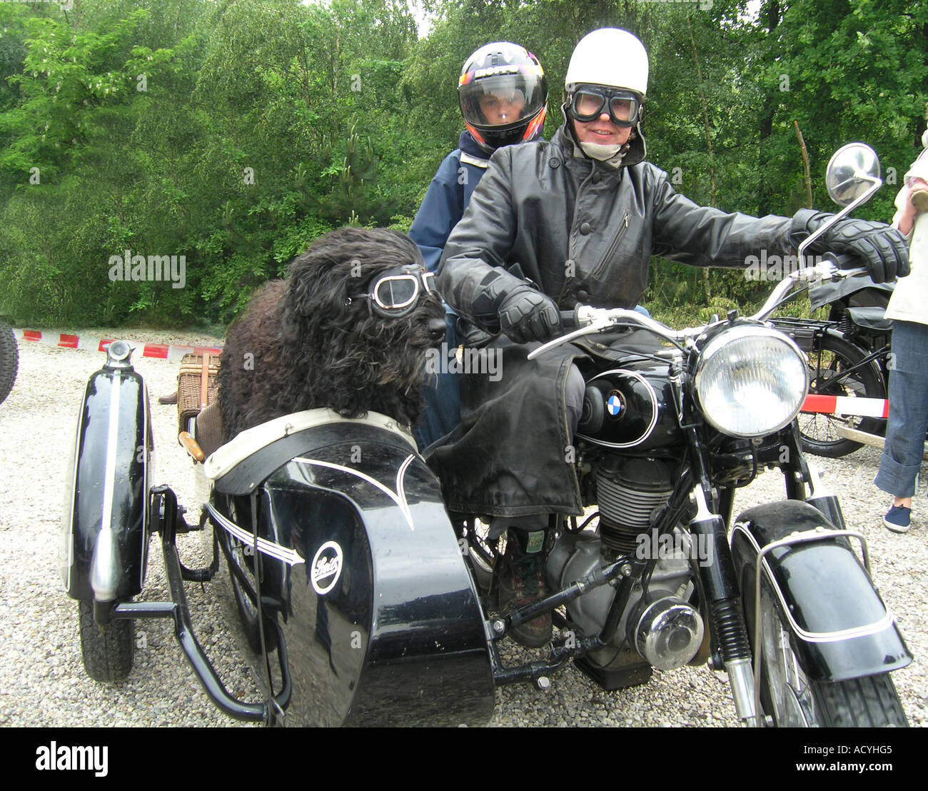 couple on vintage BMW motorbike with fluffy black dog in sidecar wearing motoring goggles and enjoying himself Stock Photo