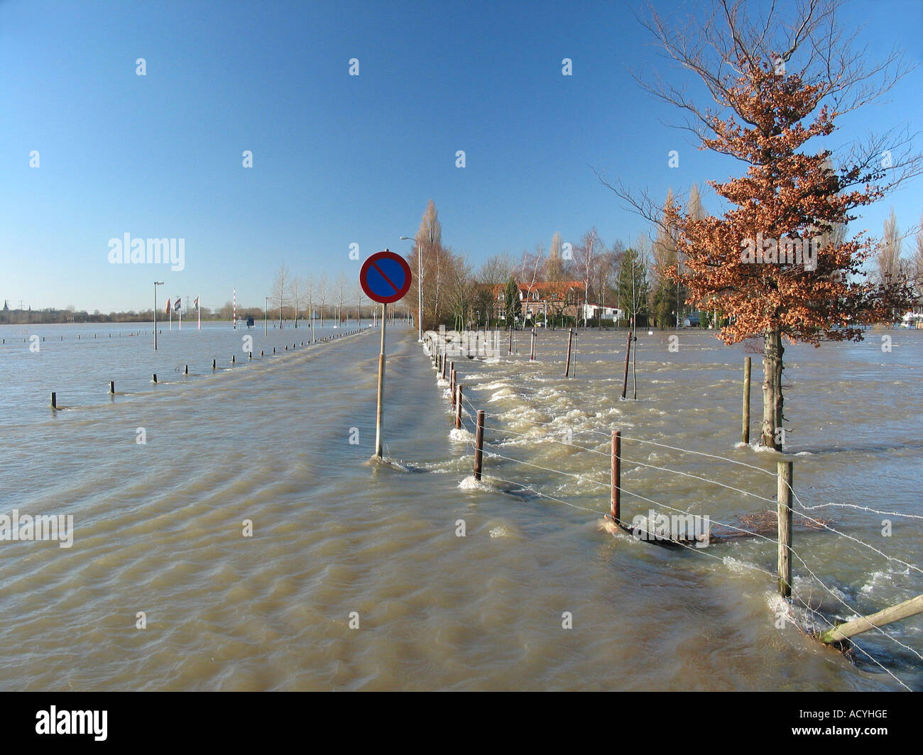 flooded road with no parking sign Stock Photo - Alamy