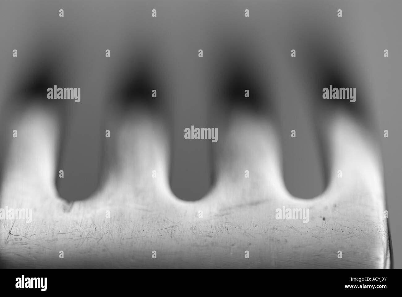 Prongs On Fork Stock Photo Alamy