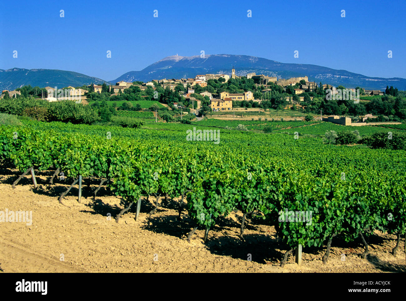 Provence, France - Village of Faucon and famous vineyards, Vaucluse region, Provence Stock Photo