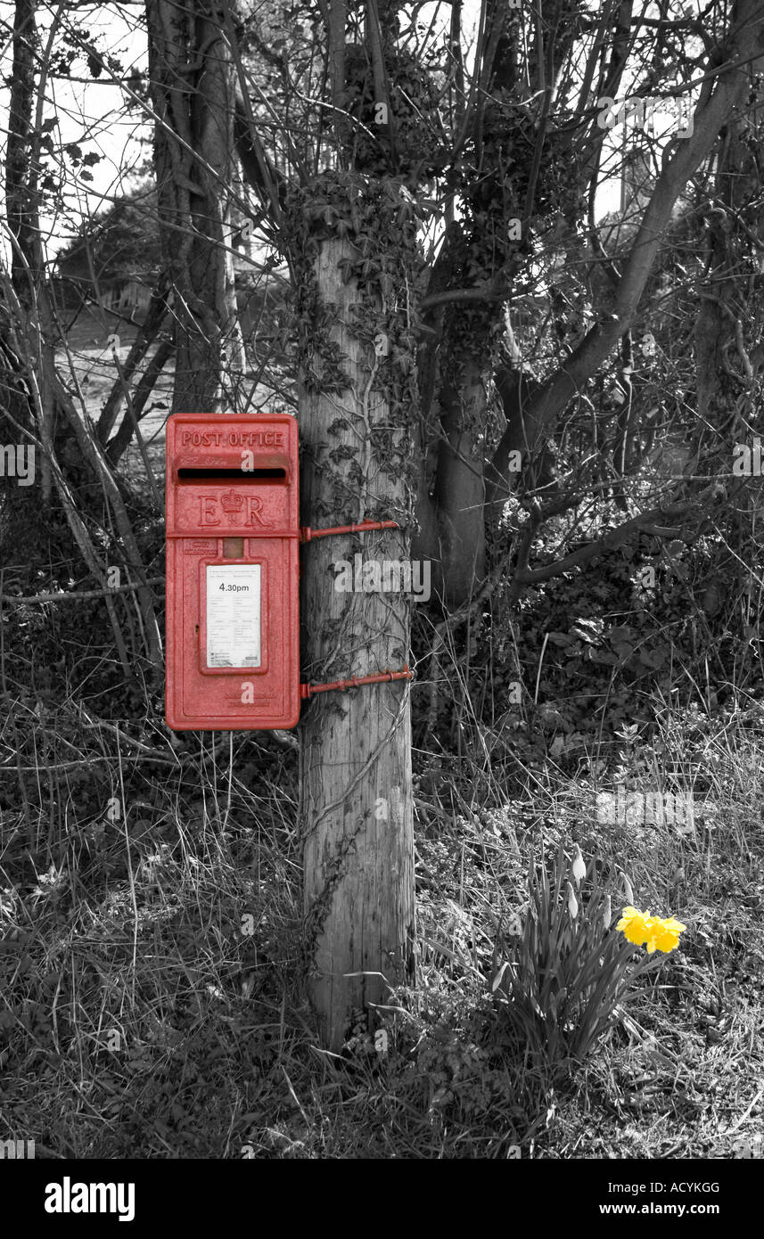 Red post box and daffodil in spring Stock Photo - Alamy
