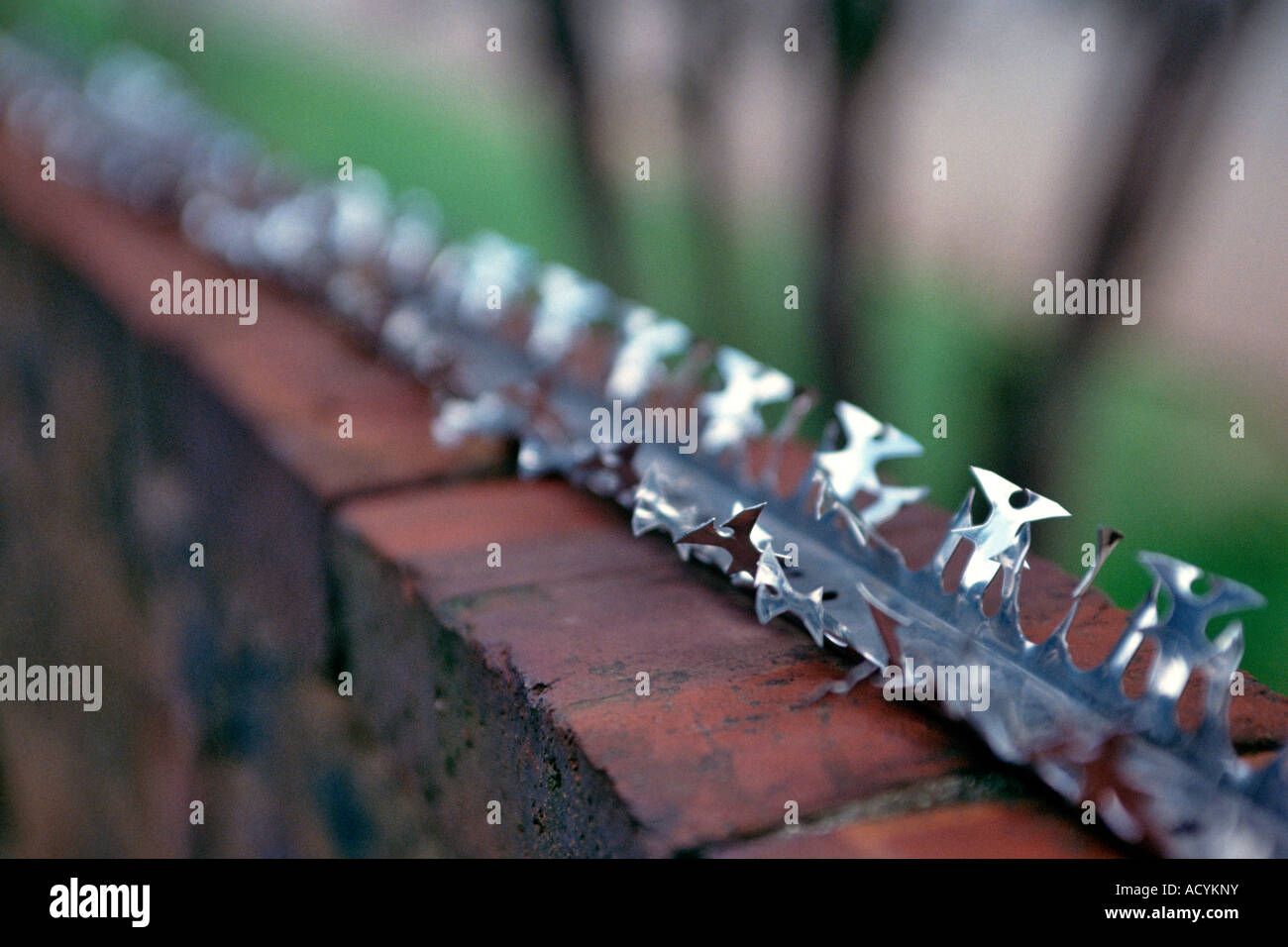 Close-up of razor wire on the top of a brick wall. Stock Photo