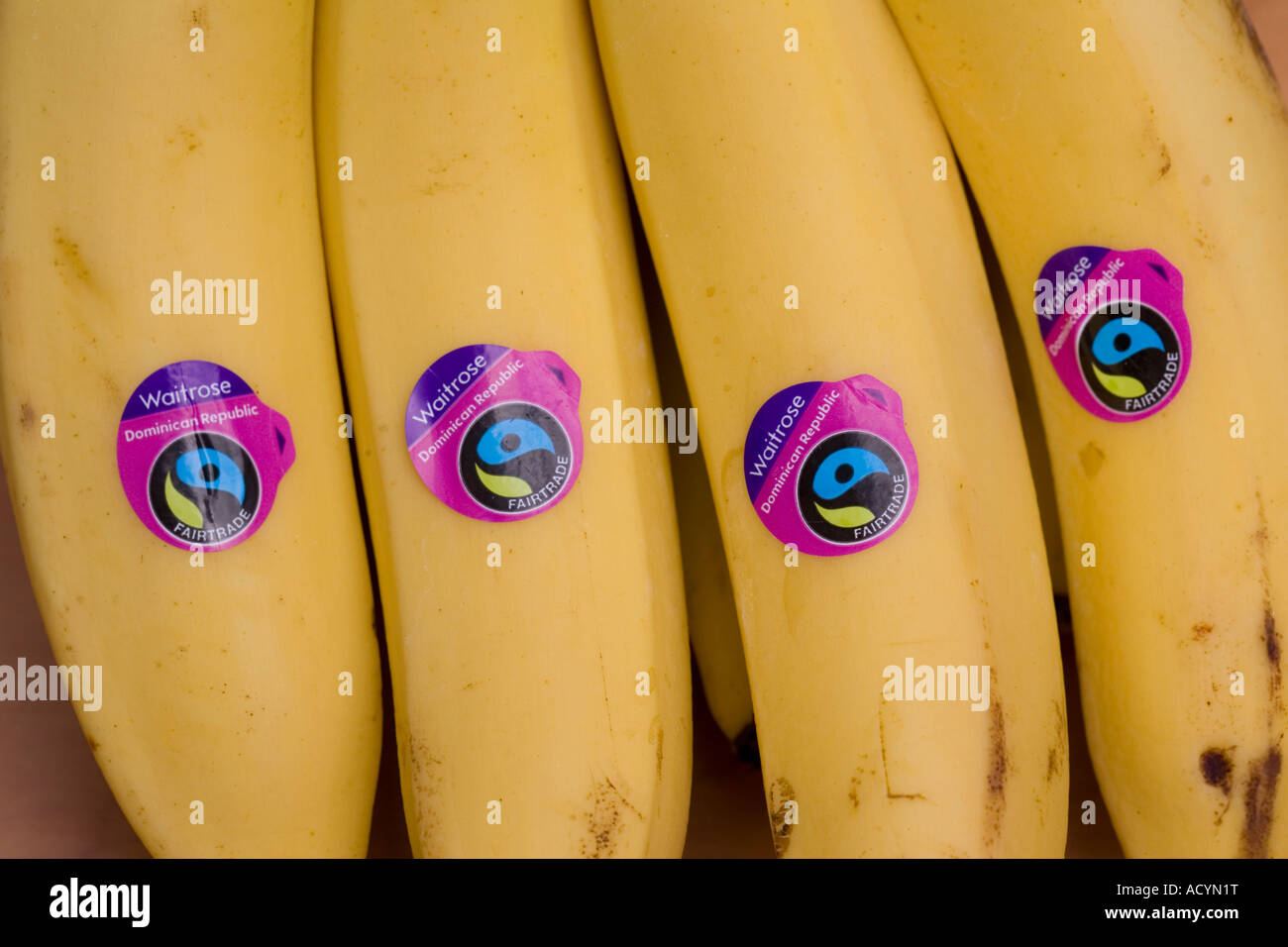 Bananas from Dominican Republic with Faitrade labels Waitrose
