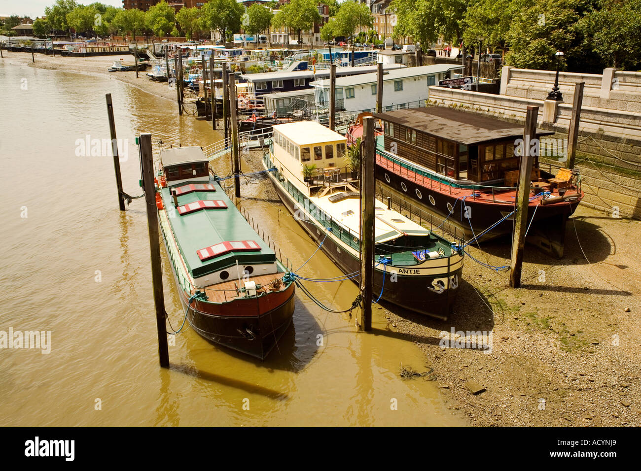 Houseboats in chelsea hires stock photography and images Alamy