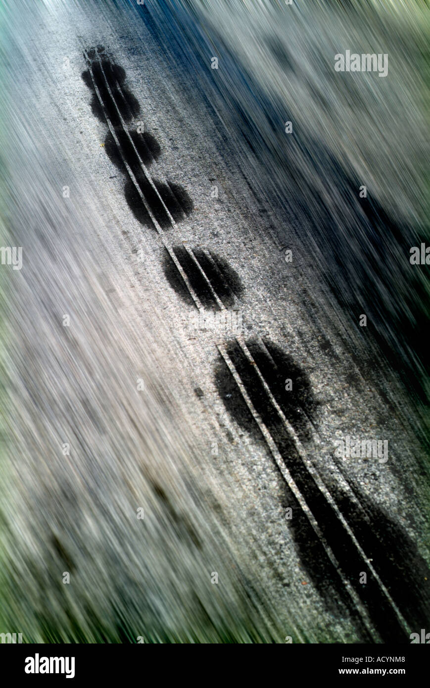 car skid marks Stock Photo Alamy