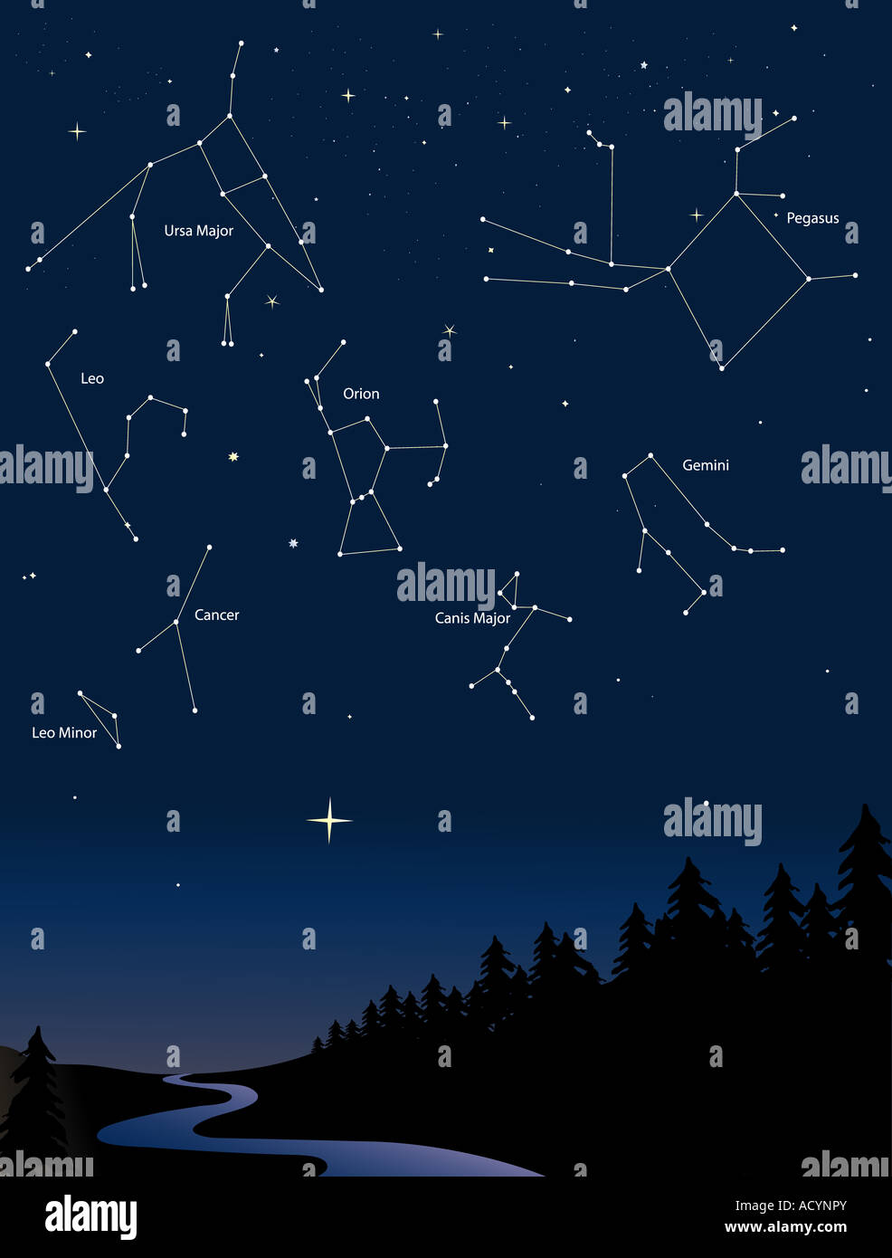 various constellations in a starry night sky Stock Photo - Alamy