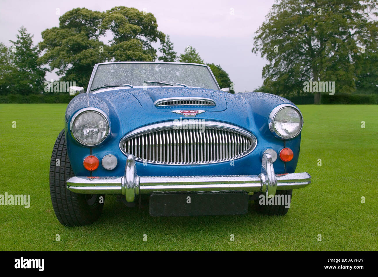 Blue Austin Healey 3000 Mk3 sports car covered in raindrops Stock Photo