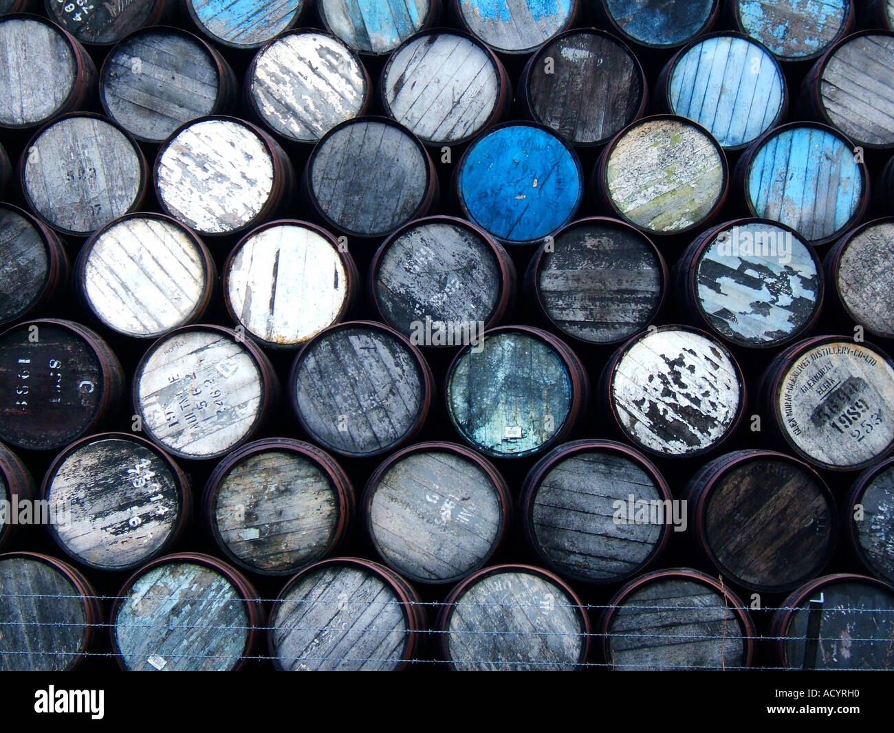 piles of empty scotch whiskey barrels Stock Photo Alamy