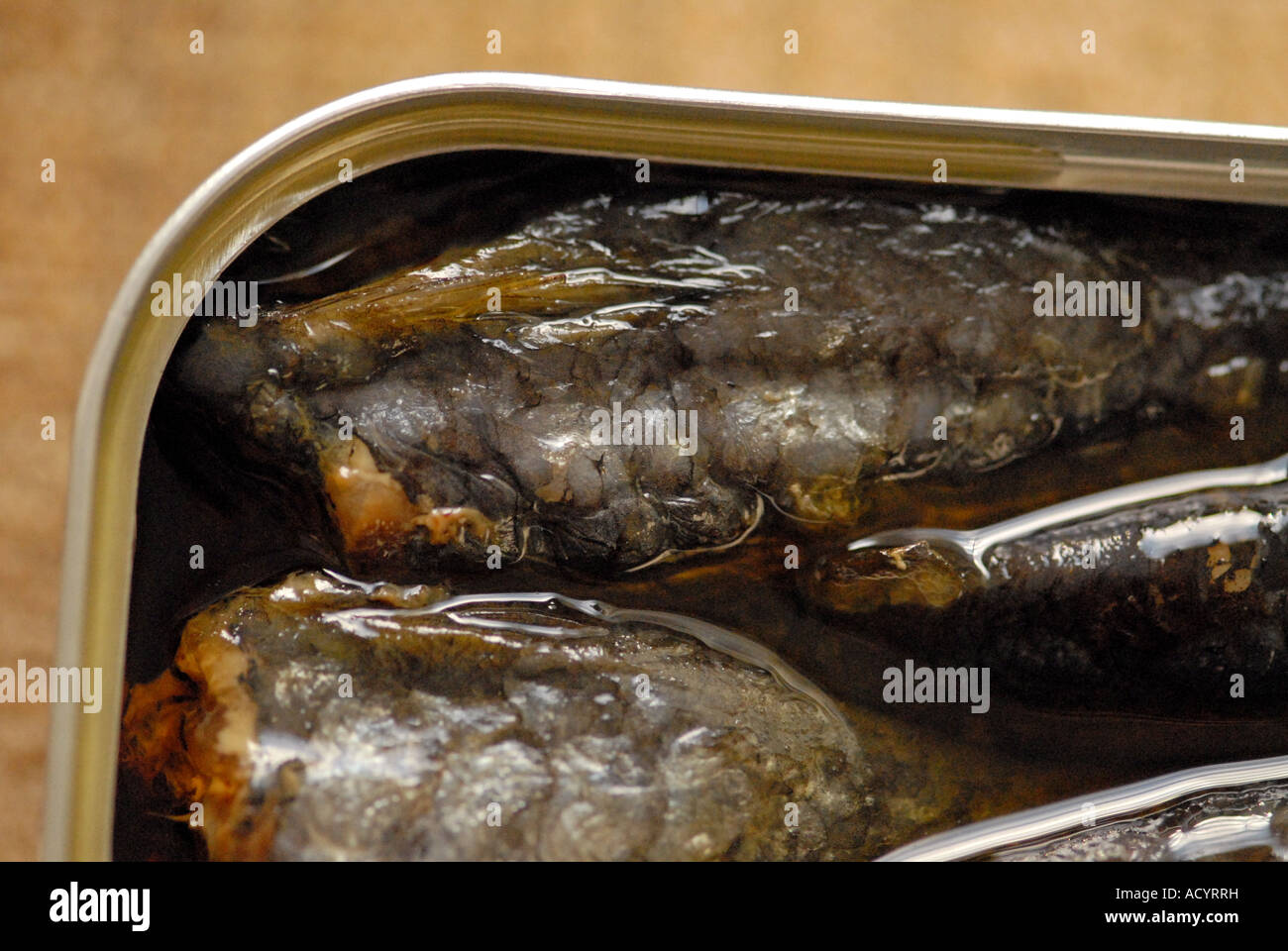 Sardines Stock Photo Alamy