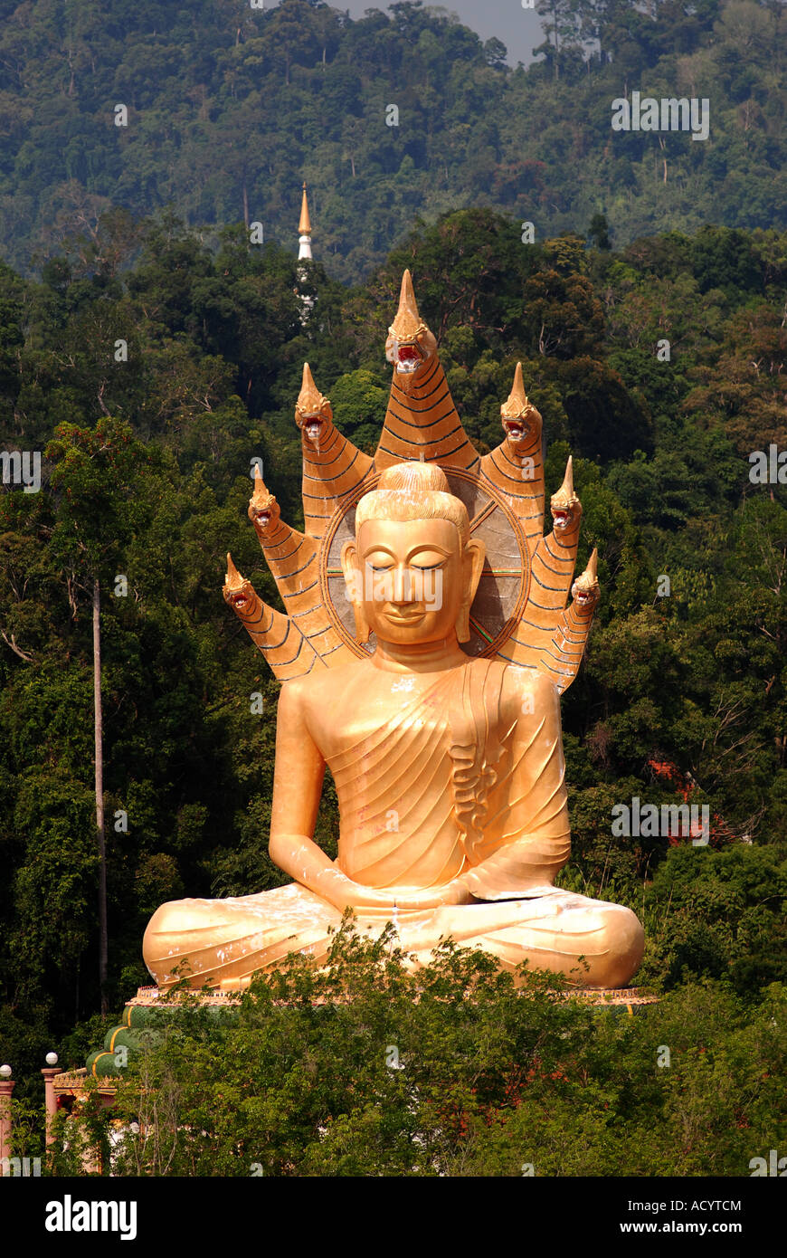 Giant Buddha Bang Riang Buddhism Thailand Travel Giant Buddha Bang Riang Buddhism Thailand Travel