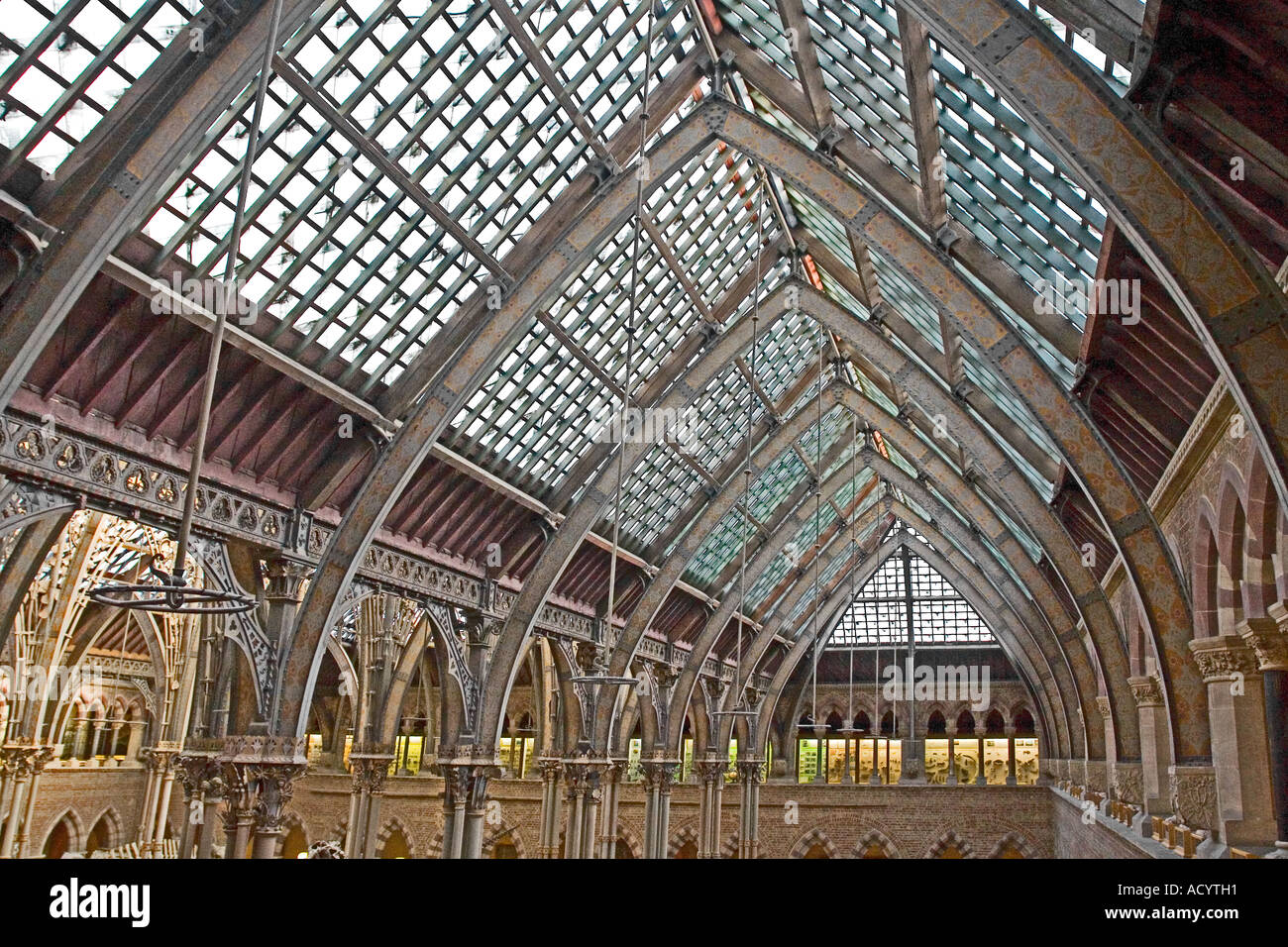 Oxford University Museum of Natural History view of the impressive internal roof structure Stock Photo