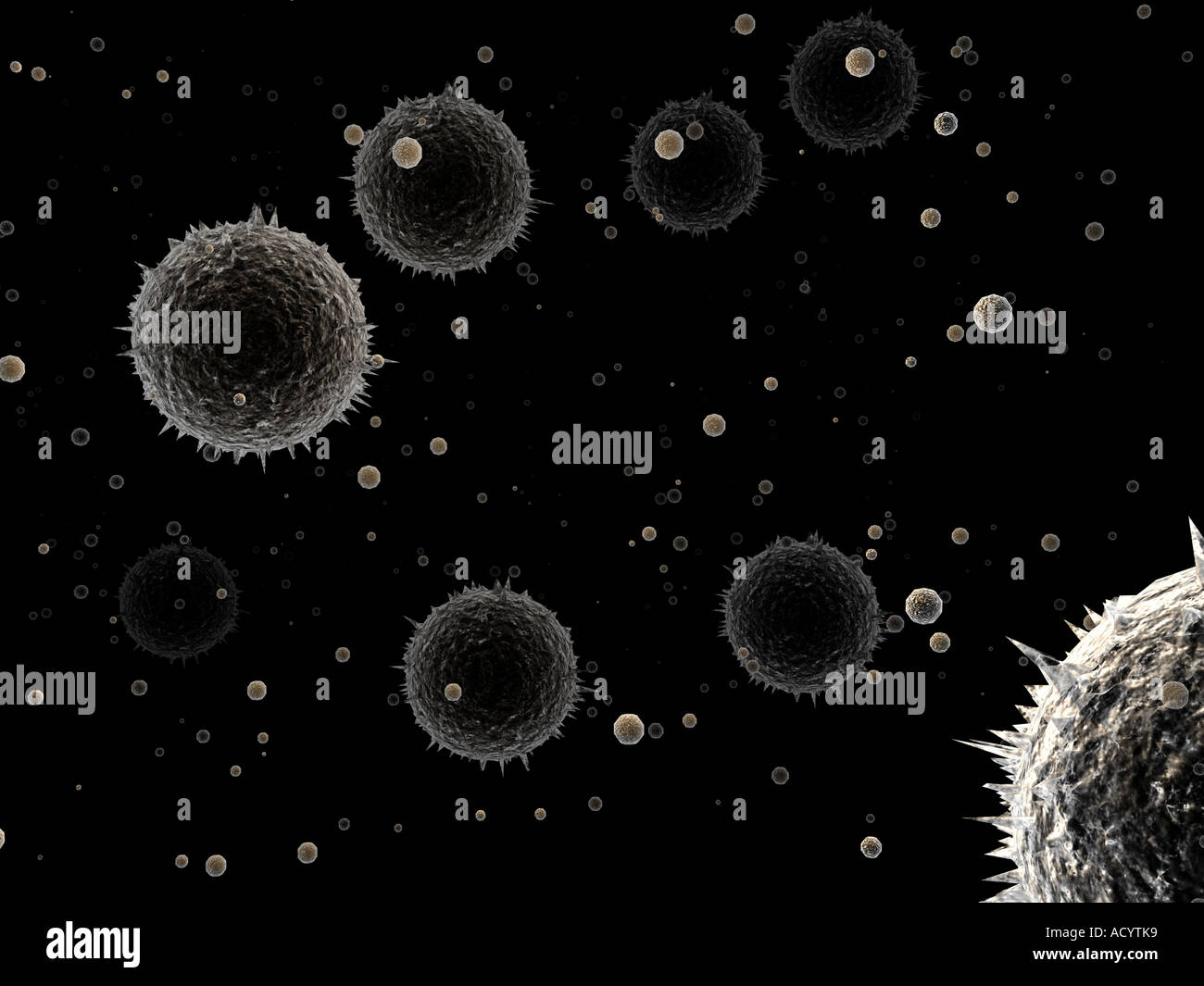 Dust particles floating in the air hi-res stock photography and images ...