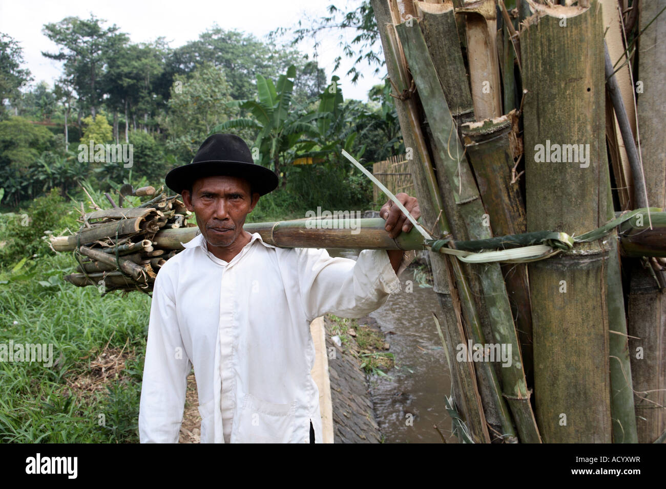 Farmer Java Portrait of an indonesian farmer Malang Java Indonesia Stock Photo - Alamy