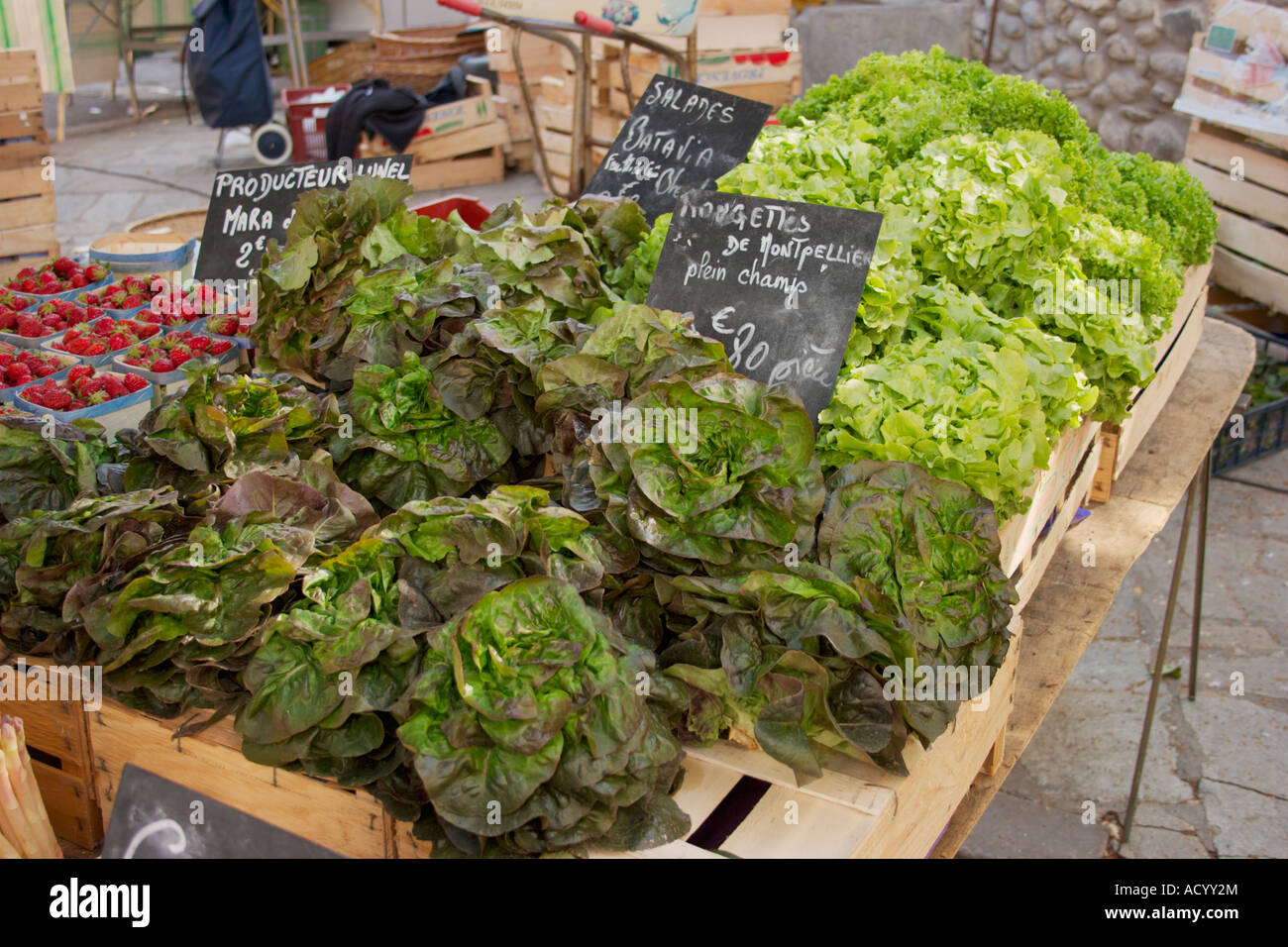 Various lettuce varieties for sale on a typical French Market in the