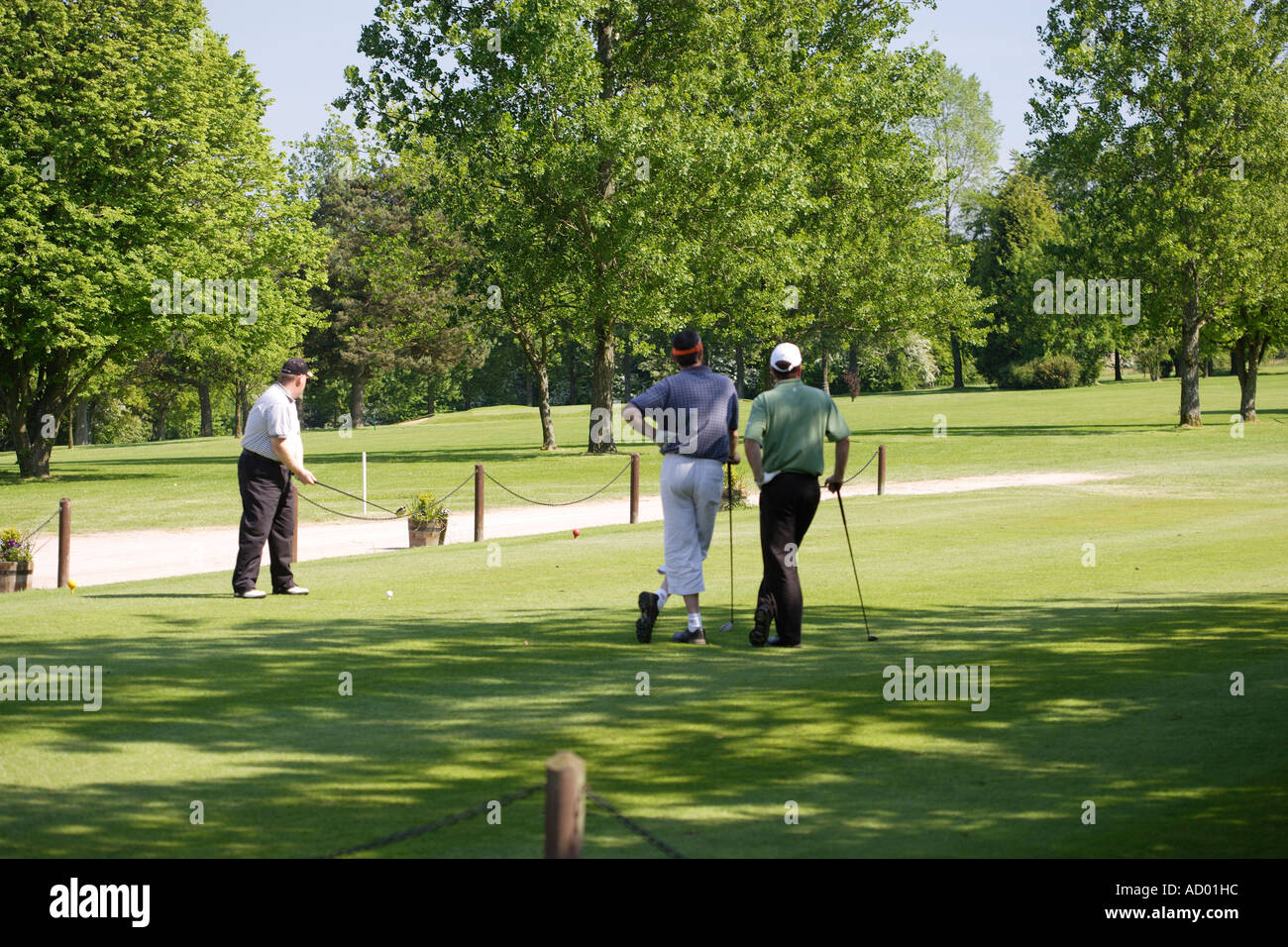 Three male golfers teeing off in the afternoon Stock Photo