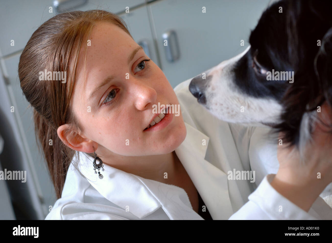 A YOUNG FEMALE VETERINARY SCIENCE STUDENT GIVING A HEALTH CHECK UP TO A