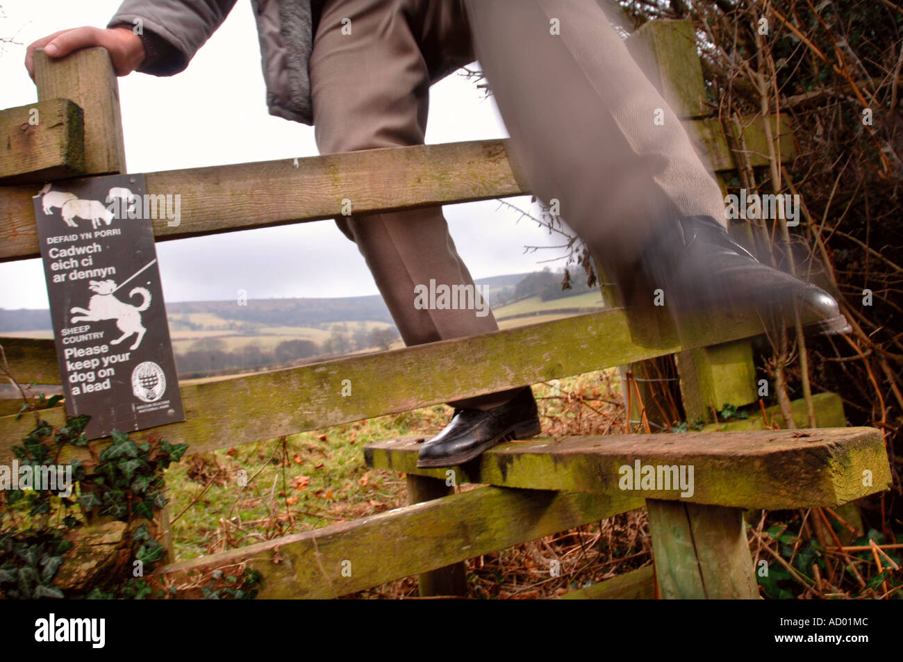 A RETIRED MAN STEPS ACROSS A WOODEN STILE WITH A PLEASE KEEP YOUR DOG ON A LEAD SIGN NEAR ABERGAVENNY WALES UK Stock Photo