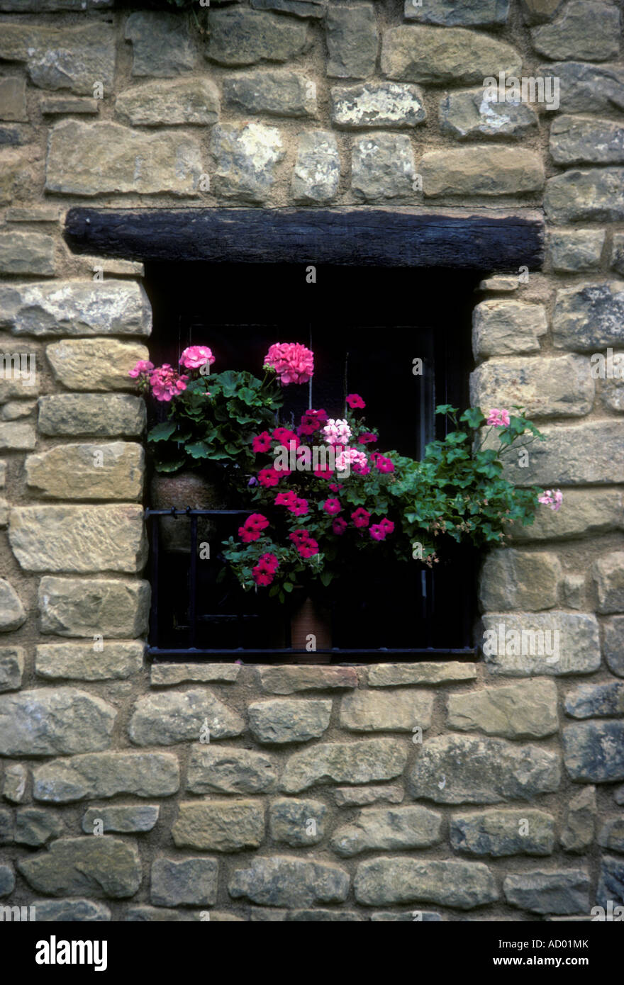 flowers in flower pot, window sill, Spanish Basque country, Ujue, Spain, Europe Stock Photo
