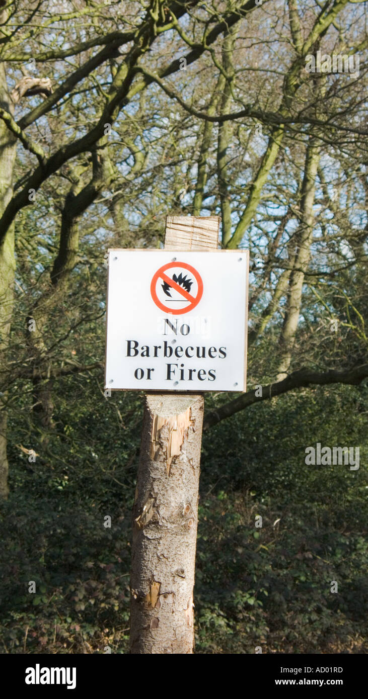 No barbecues or fires sign in Epping Forest, UK Stock Photo