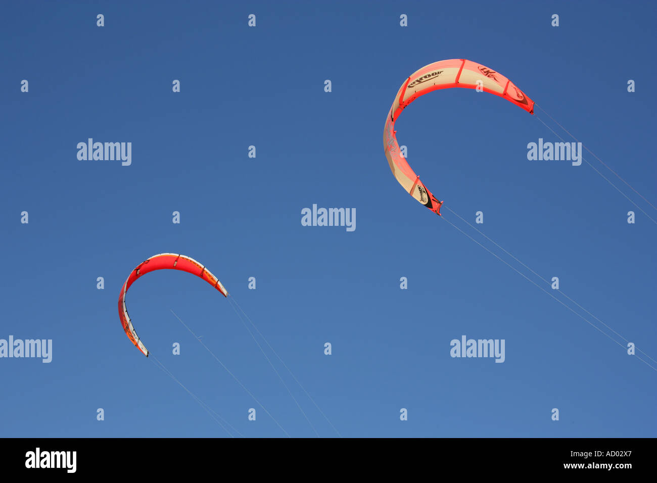 Wind Surfing Kites Stock Photo Alamy