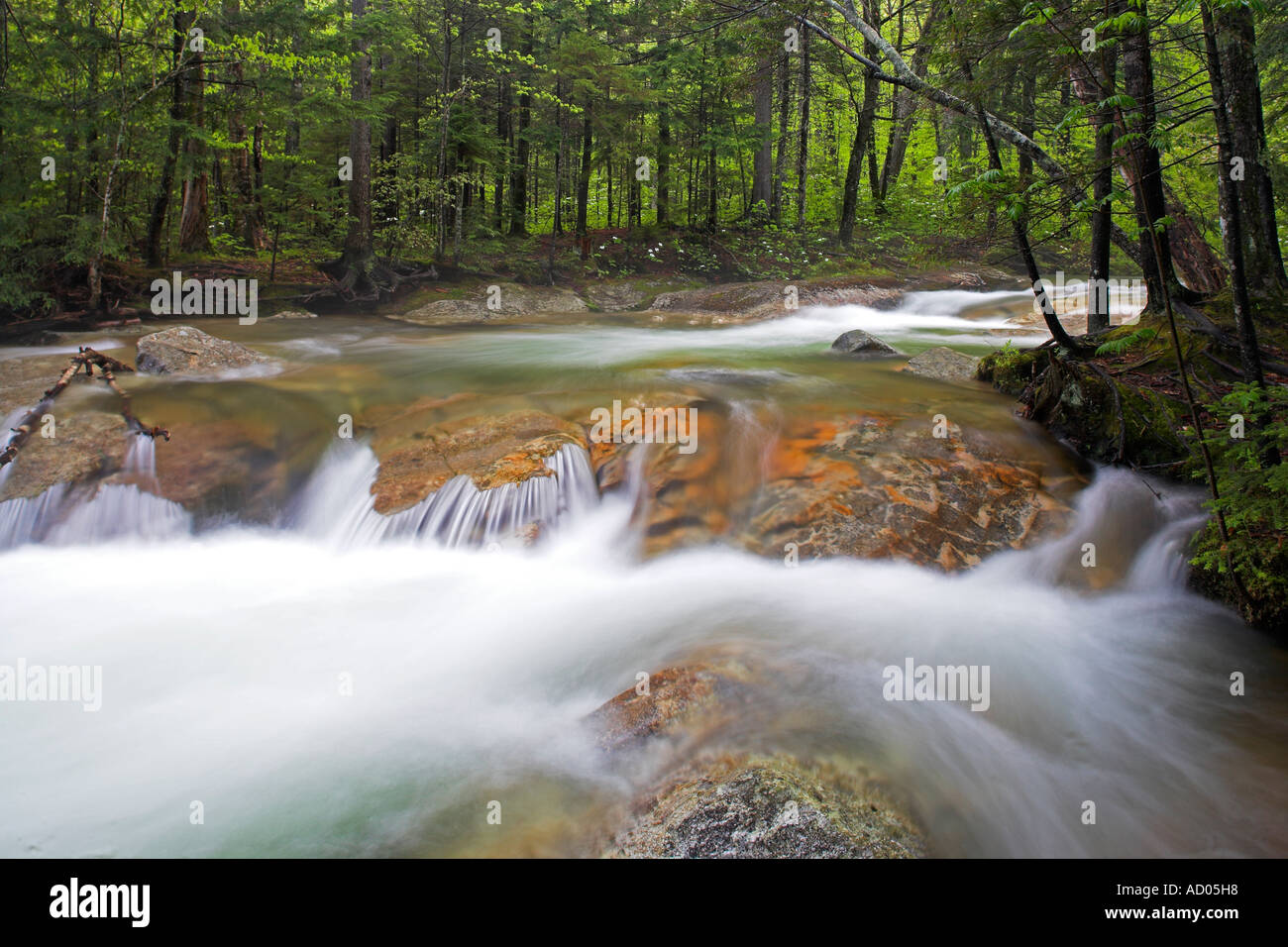 Brooktail Saddle Brook trail Stock Photo - Alamy
