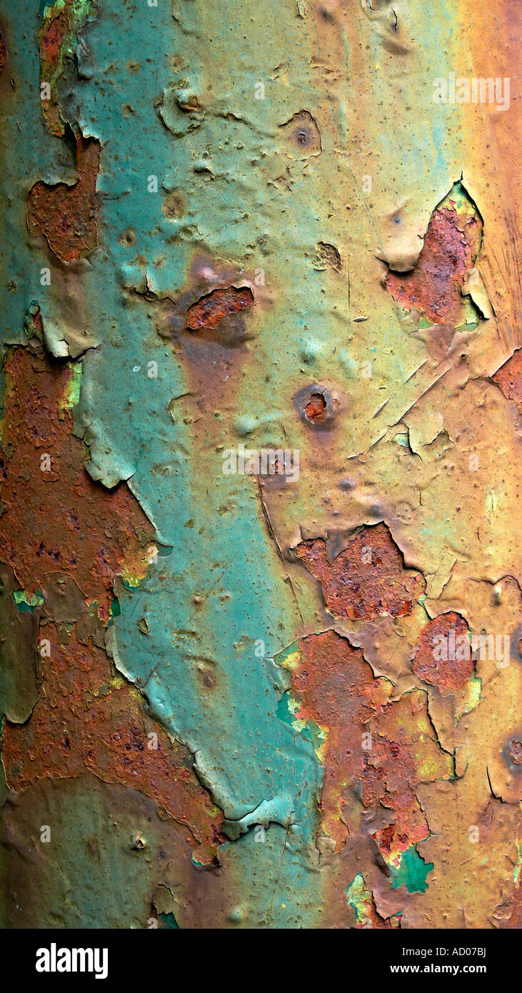 Old paint peeling off of rusted metal surface Stock Photo Alamy