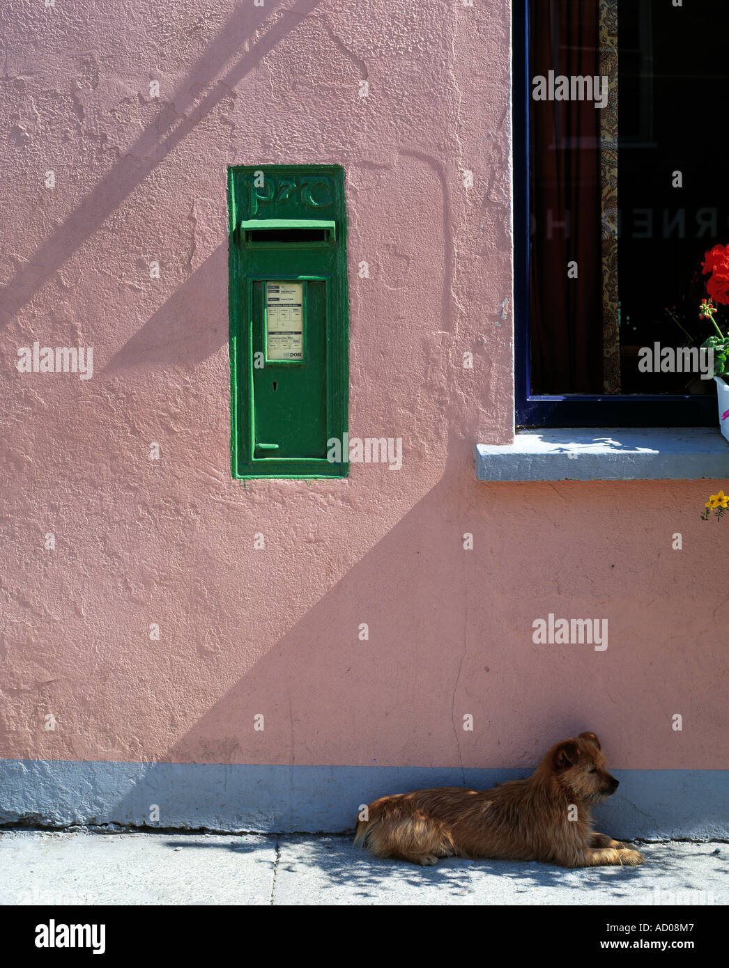 caherciveen ring of kerrypost box on a pub wall and a little dog lying on pavement of an irish town, irish rural post box boxes, Stock Photo