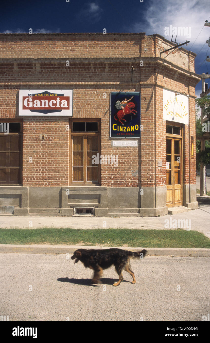 Dog walking last building in Welsh colonial village of Gaiman, near Trelew, Patagonia, Argentina Stock Photo