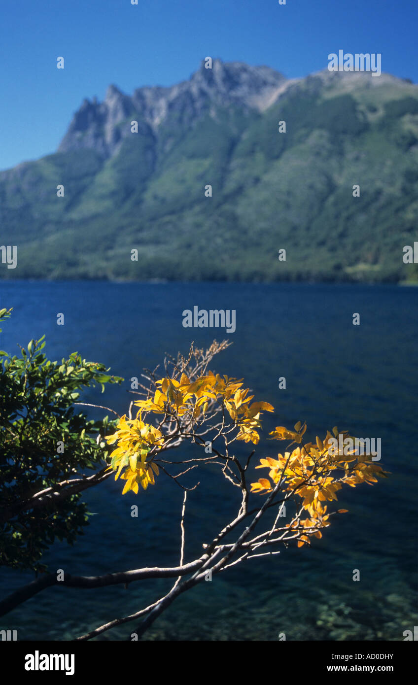 Autumn colour on shore of Lake Huechulafquen, Lanin National Park, Neuquen Province, Argentina Stock Photo