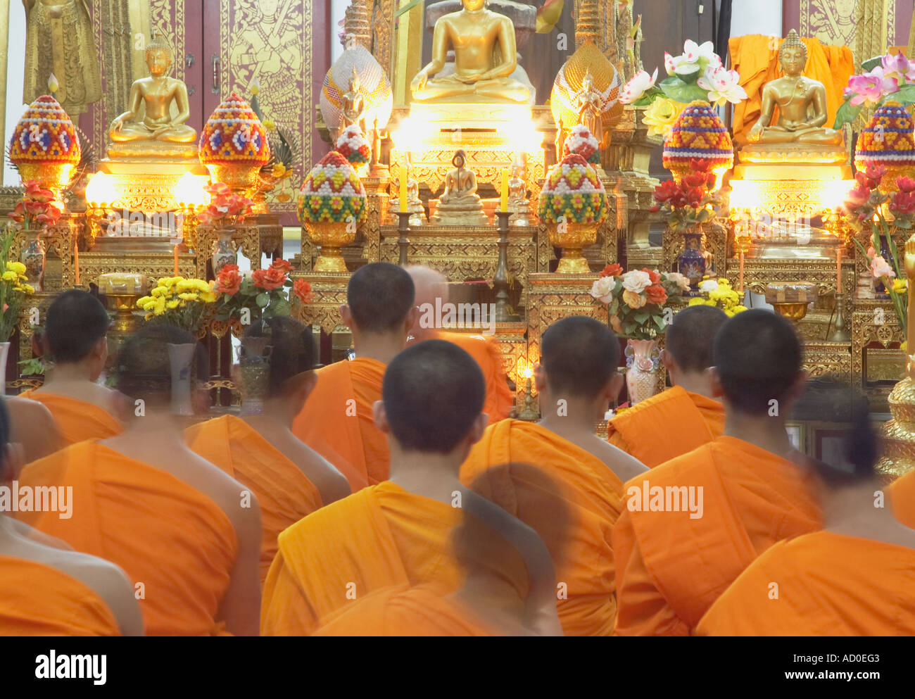 Monks At Evening Ceremony, Wat Saen Stock Photo