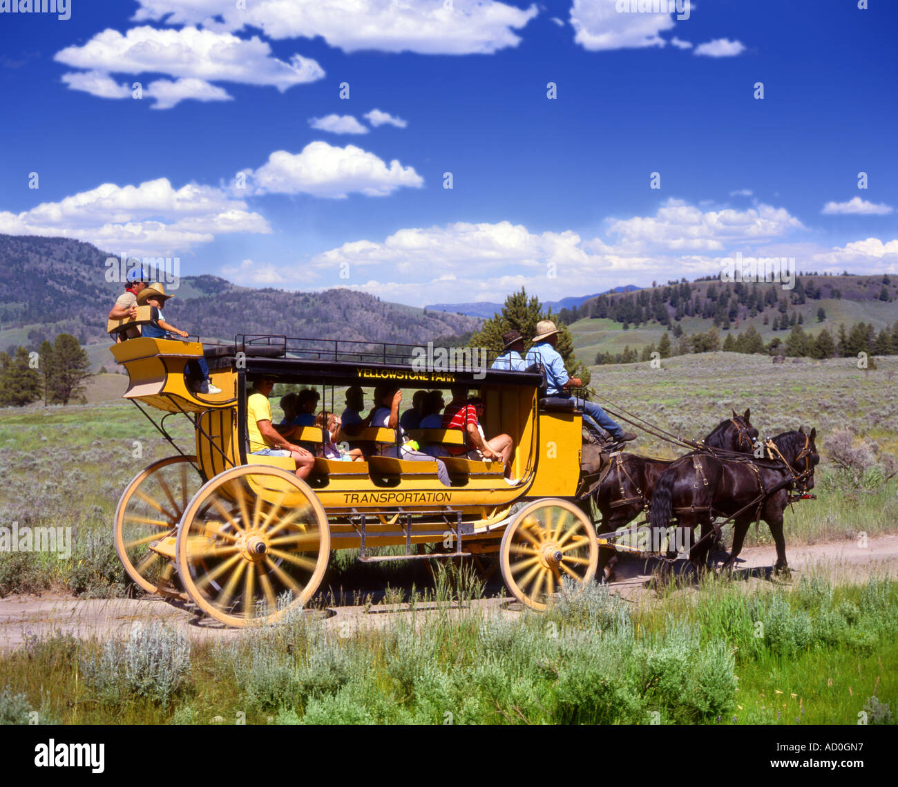 Stagecoach Ride in Yellowstone National Park Wyoming USA Stock Photo