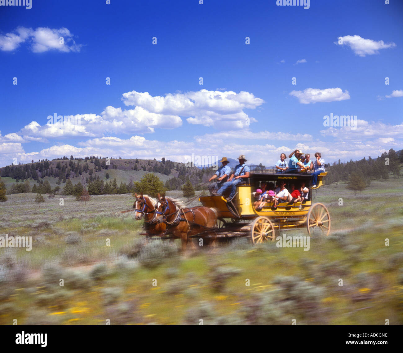 Stagecoach Ride in Yellowstone National Park – Wyoming USA Stock Photo
