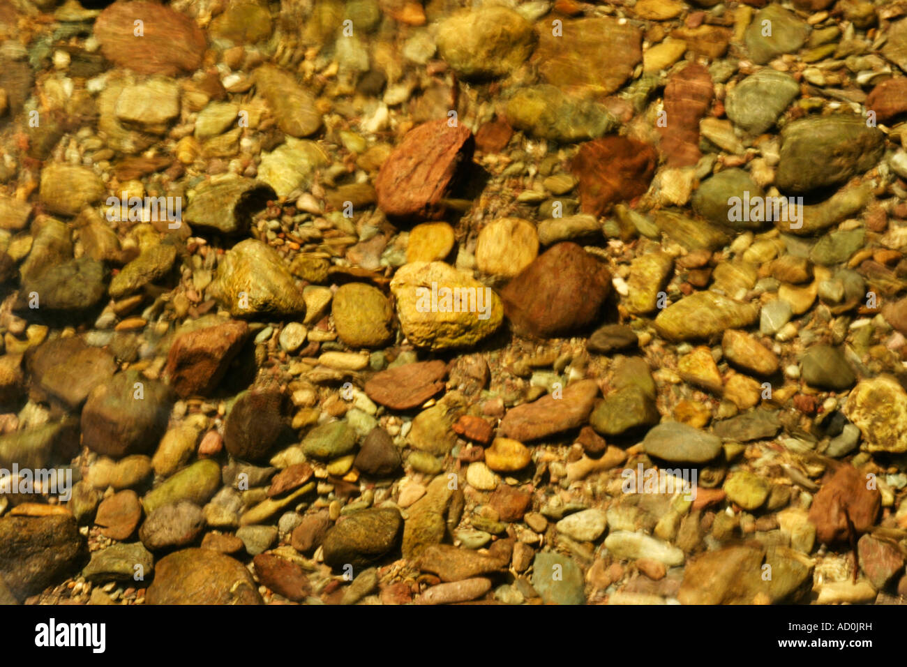 Stones and Pebbles on the bottom of a stream bed. UK Stock Photo