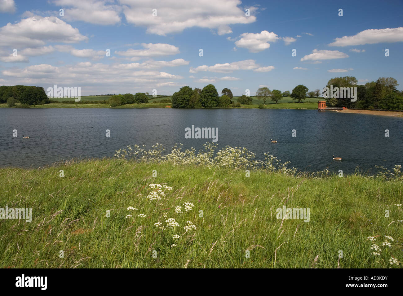 Sywell Country Park, Northamptonshire, England, UK Stock Photo