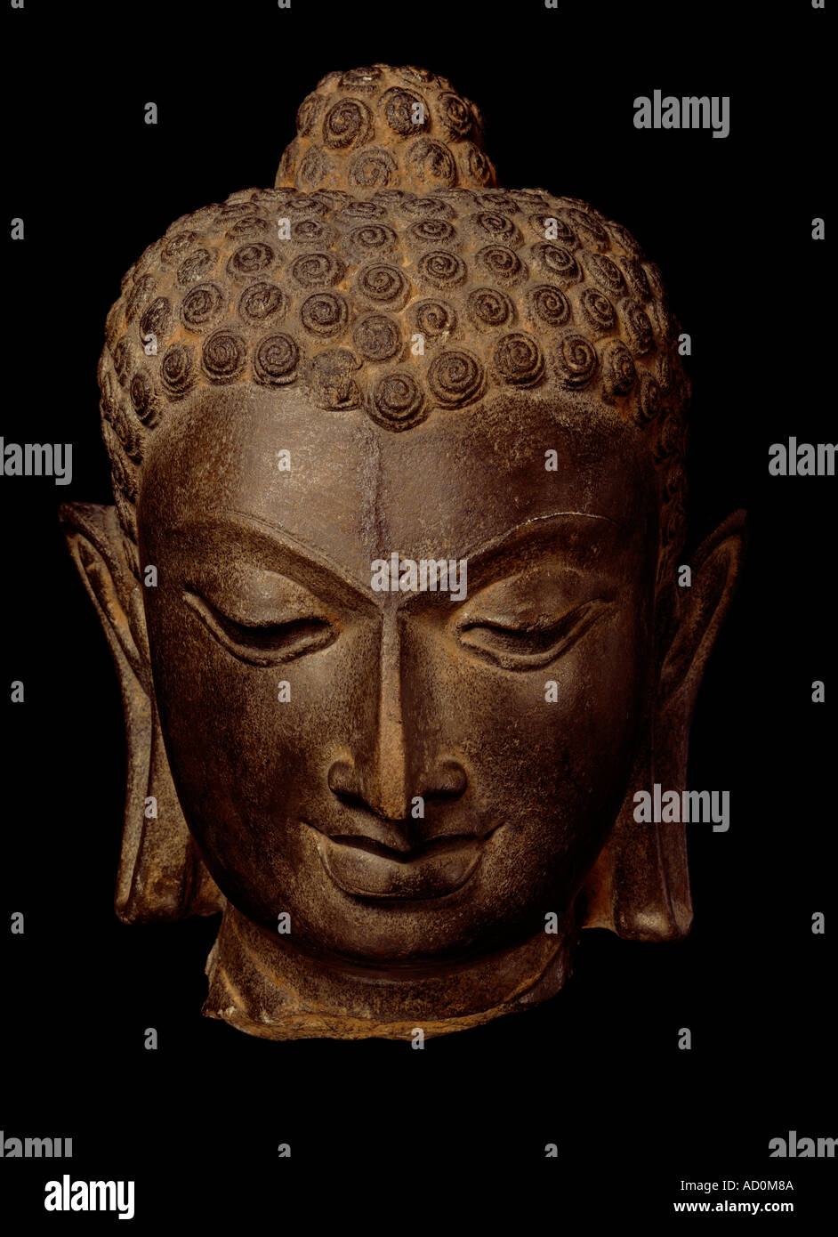 Head of the Buddha. India, 7th - 8th century. Stock Photo