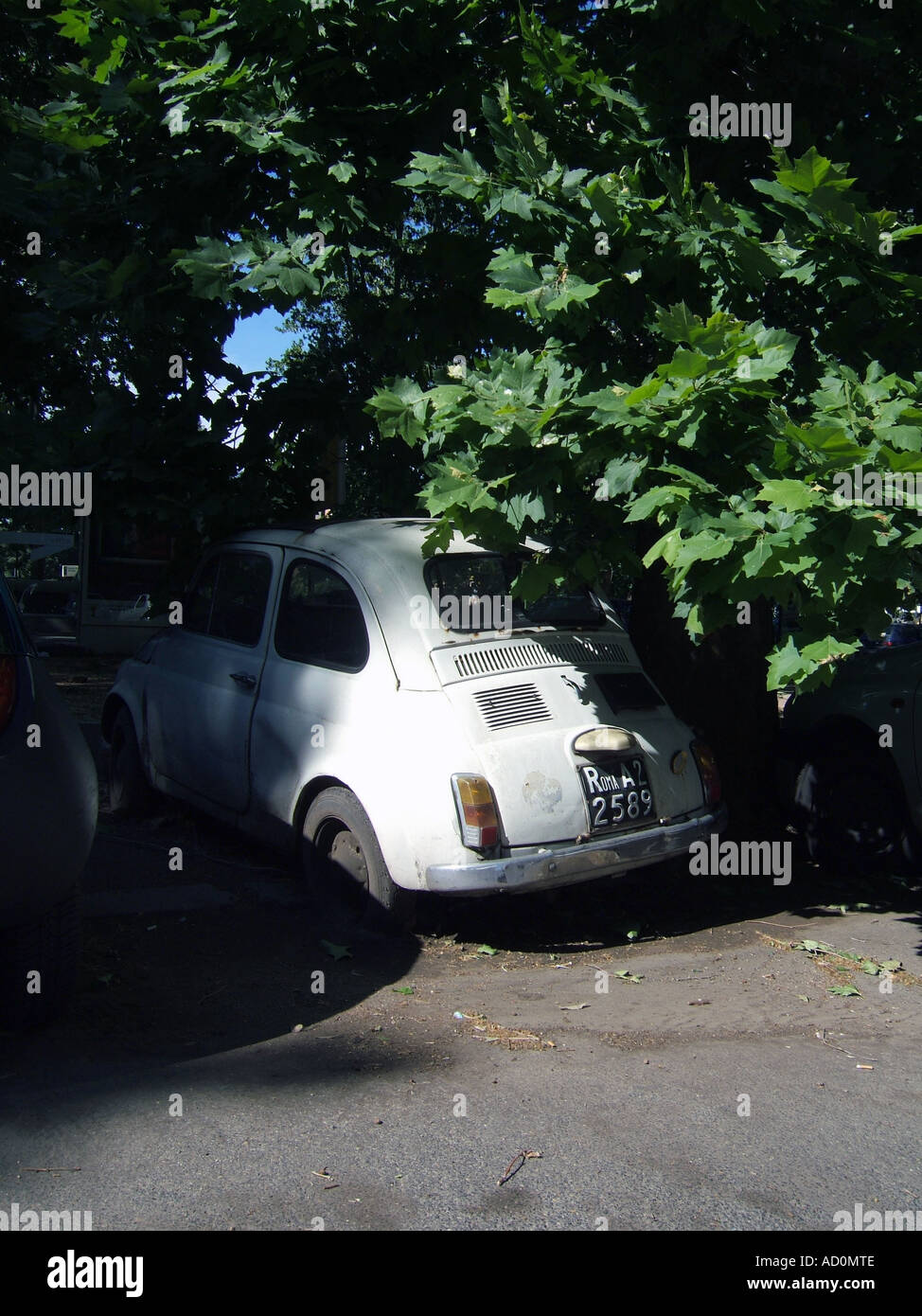 old fiat 500 car parked in the trees Stock Photo - Alamy