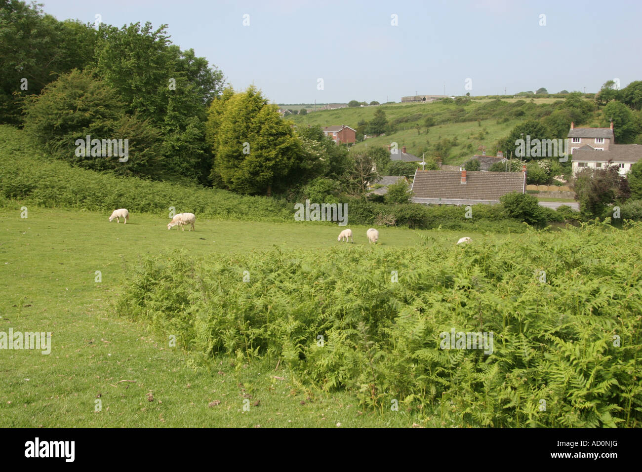 St Brides Major near Bridgend South Wales GB UK 2007 Stock Photo Alamy