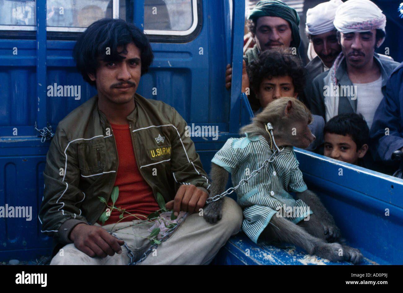 Sana'a Yemen Man Chewing Quat With Monkey On Chain sitting in the Back of a Pick up Truck Stock Photo