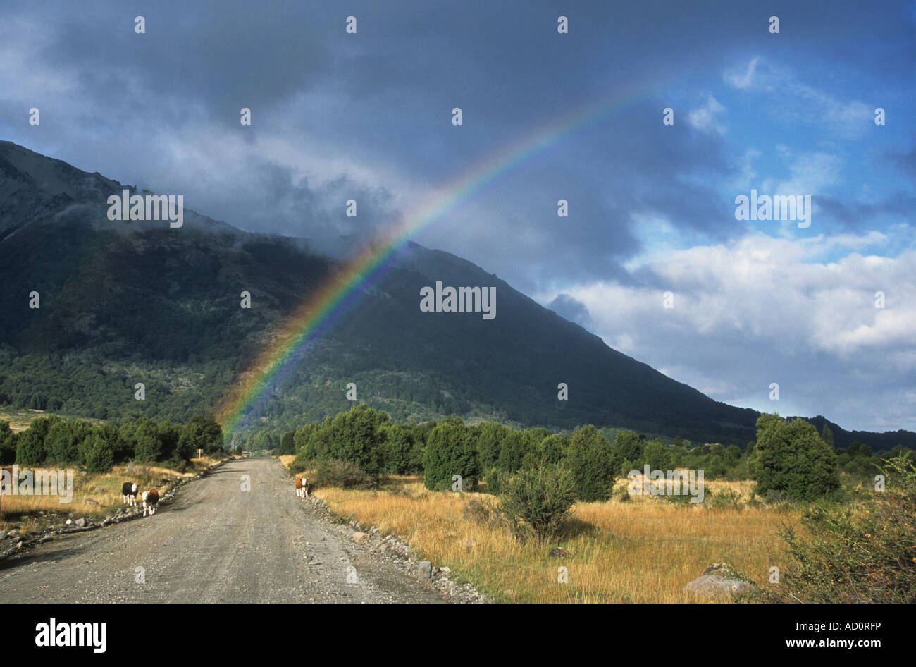Rainbow over Patagonian steppe and lonely road, Lanin National Park, Neuquen Province, Argentina Stock Photo