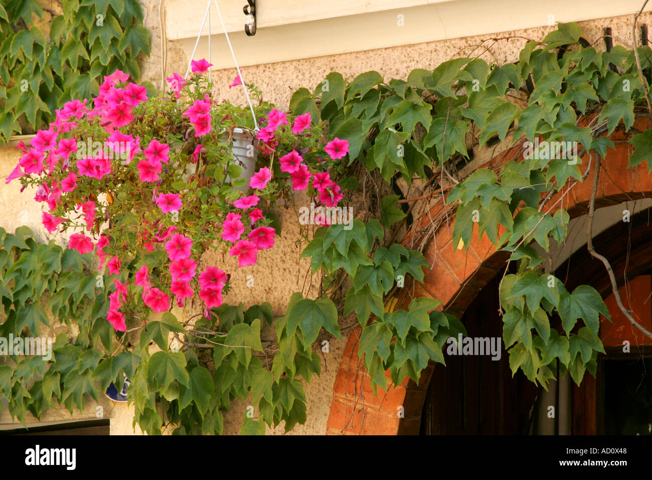 flowers hung at an entrance door Stock Photo - Alamy