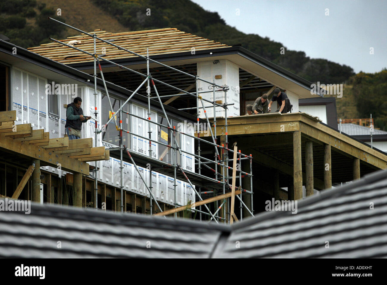 Building houses in Nelson, New Zealand Stock Photo Alamy