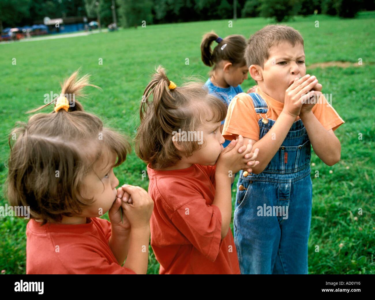 children whistling on grass MR8373 MR8371 Stock Photo Alamy