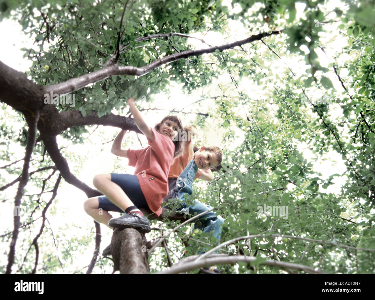 Boy lying on tree branch hi-res stock photography and images - Alamy
