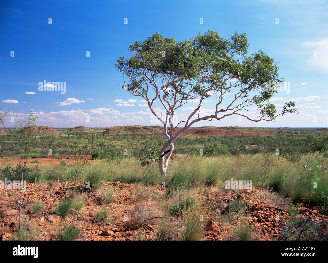 Tennant Creek, Northern Territory, Australia Stock Photo Alamy
