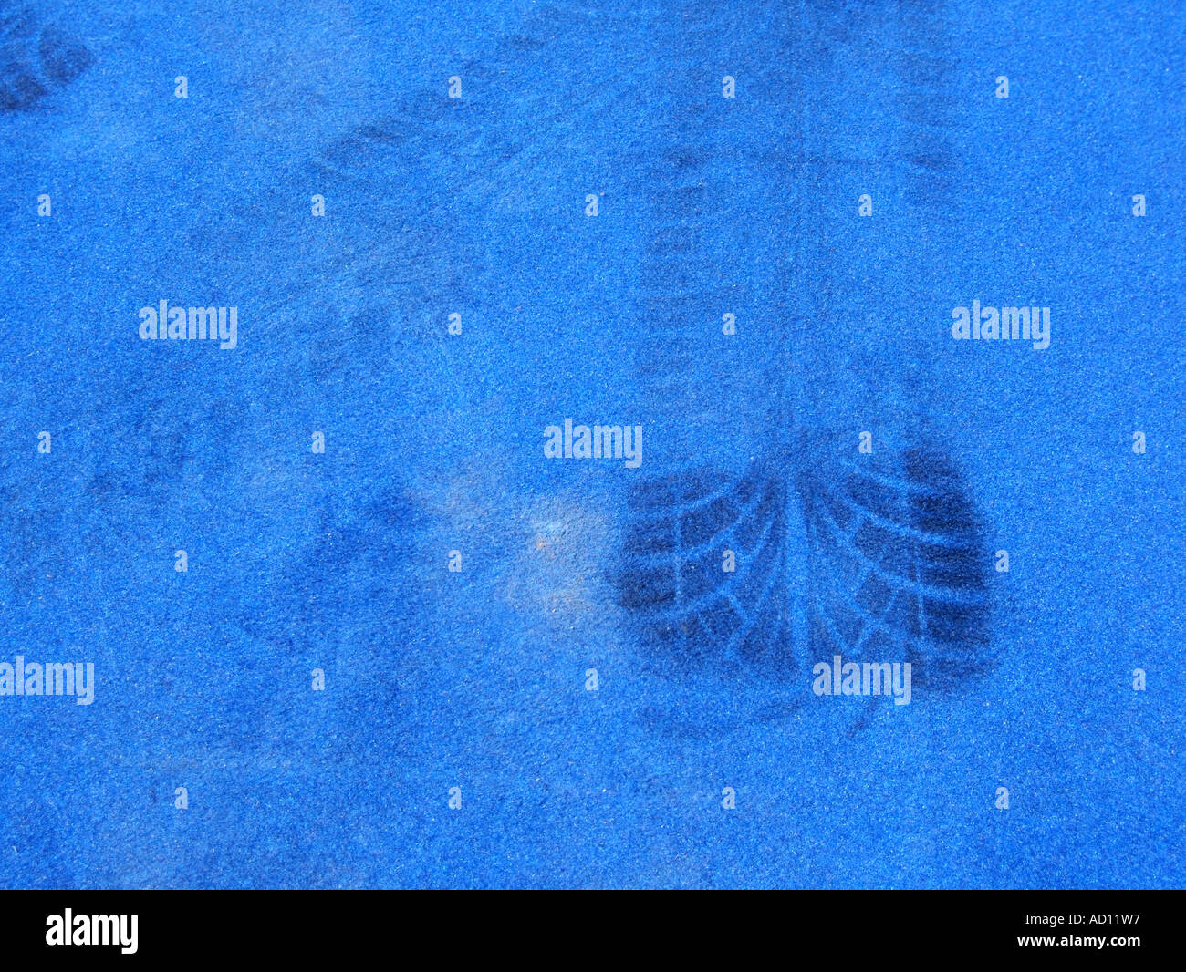 tyre skid mark on blue carpet Stock Photo Alamy